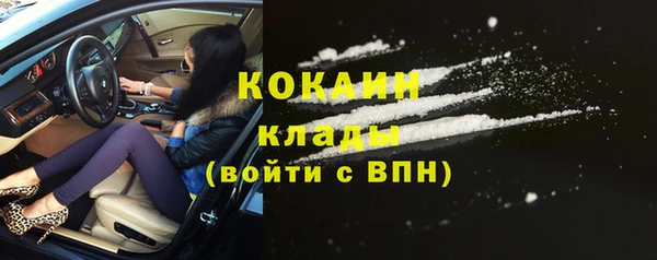 индика Новокубанск