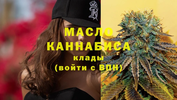 гашик Рыльск