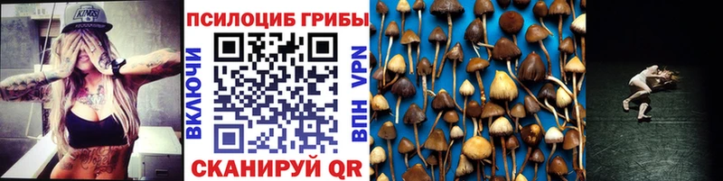купить наркоту  Анива  Галлюциногенные грибы Cubensis 